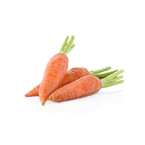 Futterkarotten | Futtermöhren - HeyFruit, Karotten im 20 kg Sack, perfekt geeignet für Tierfutter wie Pferde, Hunde und Co, passend zum barfen, Erzeugnis aus Deutschland von Fuduu.de