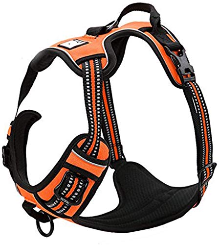 Truelove Hundegeschirr TLH5651, verhindert Zerren, reflektierende Nähte Sorgen für Sichtbarkeit in der Nacht, für Abenteuer im Freien(XL, Orange) von Truelove