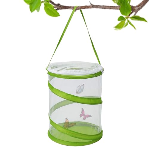 Fukamou Schmetterlings-Lebensraum Käfig - Mini Mesh Cage Terrarium Pop-up, Caterpillar Habitat Erleichtert Das Durchschauen, Schmetterlingsgehege Für Den Innenbereich, 16 X 20 cm Hoch von Fukamou
