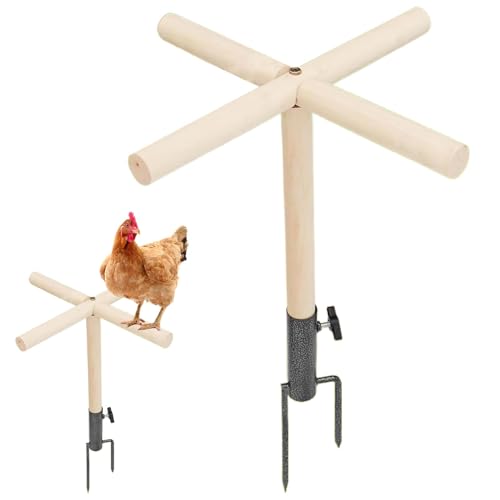 Chick Barch – Babies Chicks Gym Barsch Stand | Küken Sitzstange Ständer Hühnerstall Hinterhof mit Metall-Bodenstopfen für große Vogel Papageien Chick Barch – Babies Chicks Gym Barsch Stand | Küken Sitzstange Ständer Hühnerstall Hinterhof mit Metall-Bodenstopfen für große Vogel Papageien von Fulenyi