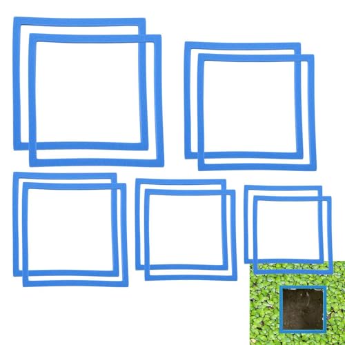 Futterring für Fische, Futterring für Aquarien, quadratischer Pflanzengeheg, 5 Größen, 10 Stück, schwimmender Blumenbeet für Pflanzen Futterring für Fische, Futterring für Aquarien, quadratischer Pflanzengeheg, 5 Größen, 10 Stück, schwimmender Blumenbeet für Pflanzen von Fulenyi