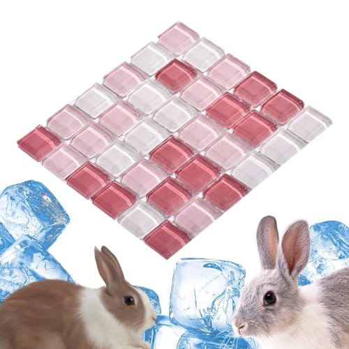 Fulenyi Hasen-Kühlmatte, Chinchilla-Kühlstein,Kaninchen Eisauflage Teller Sommerbett - Haustierbedarf, Wärmeableitungs-Haustier-Kühlplatte für Hamster, Chinchilla, Kätzchen, Katze Fulenyi Hasen-Kühlmatte, Chinchilla-Kühlstein,Kaninchen Eisauflage Teller Sommerbett - Haustierbedarf, Wärmeableitungs-Haustier-Kühlplatte für Hamster, Chinchilla, Kätzchen, Katze von Fulenyi