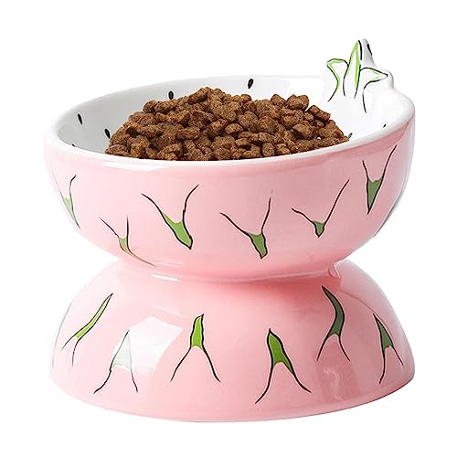 Fulenyi Schüssel für Katzen, erhöht, aus Keramik – Futter oder Wasserschalen für Katzen, geneigt, aus Keramik, Zubehör für Haustiere, Futternapf für Katzen von Fulenyi