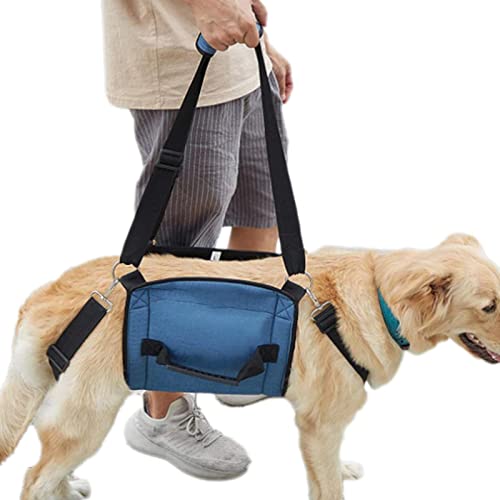 Hundegeschirr für Hinterbeine, verstellbares Hundegeschirr mit Griff zum Heben, Hebegeschirr für ältere Hunde, Behinderte, Gelenkverletzungen, Spaziergänge Hundegeschirr für Hinterbeine, verstellbares Hundegeschirr mit Griff zum Heben, Hebegeschirr für ältere Hunde, Behinderte, Gelenkverletzungen, Spaziergänge von Fulenyi
