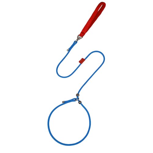 Hundeleine, Hundetrainingsleine zum Spazierengehen, verstellbare Halsleine für kleine Hunde, 150 cm, Halsband mit Traktion von Fulenyi