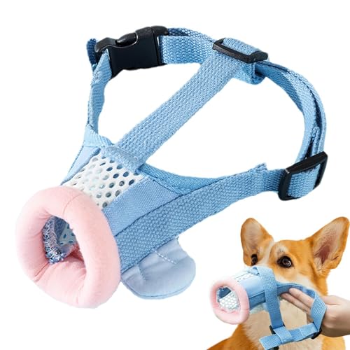 Hundemaulkorb | Maulkorb für Hunde | Maulkorb für Hunde Atmungsaktiv und Komfortabel Maulkorb - Anti-Biss Clownfisch Mundschutz für die meisten Hunde Jahr Training Hundemaulkorb | Maulkorb für Hunde | Maulkorb für Hunde Atmungsaktiv und Komfortabel Maulkorb - Anti-Biss Clownfisch Mundschutz für die meisten Hunde Jahr Training von Fulenyi
