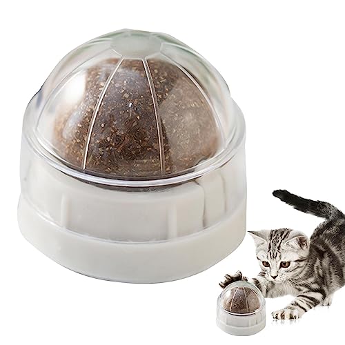 Katzenspielzeug, Wandkugel, Bio, drehbar, zum Lecken von Katzen, Leckerlis für Katzen, biologische Zähne, Reinigung, Kauspielzeug, Katzenbeißspielzeug Katzenspielzeug, Wandkugel, Bio, drehbar, zum Lecken von Katzen, Leckerlis für Katzen, biologische Zähne, Reinigung, Kauspielzeug, Katzenbeißspielzeug von Fulenyi