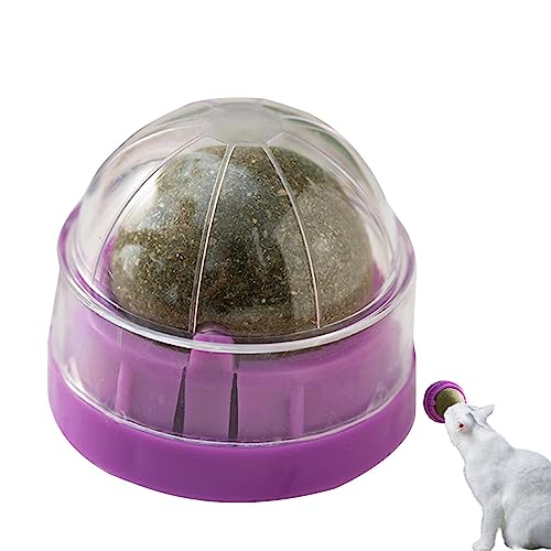 Katzenspielzeug, Wandkugel, drehbar, drehbar, mit Rollkugel, zum Lecken von Katzen – Leckerli für Katzen, biologisch, gesunde Zähne, Reinigung, Kauspielzeug Katzenspielzeug, Wandkugel, drehbar, drehbar, mit Rollkugel, zum Lecken von Katzen – Leckerli für Katzen, biologisch, gesunde Zähne, Reinigung, Kauspielzeug von Fulenyi