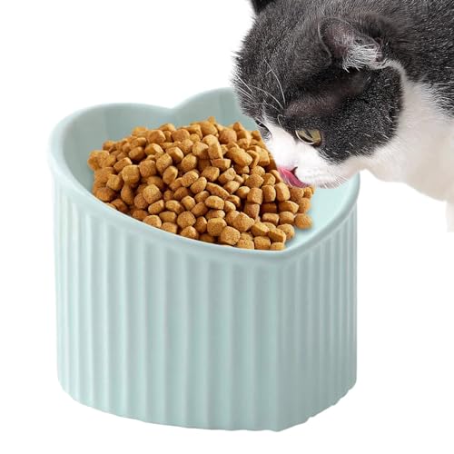 Keramik-Katzennäpfe,Keramik-Katzenfutternapf - Schrägnapf für Futter und Wasser für Haustiere,Erhöhter Futternapf aus Porzellan für mittelgroße und kleine Haustiere von Fulenyi