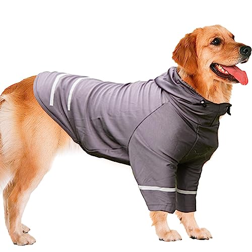Kleidung für Hunde, Sommer, Hemden für kleine Hunde für Jungen | UV-Schutz für Kleidung für Haustiere, Stil Hut und T-Shirt, für Labula Husky Fulenyi von Fulenyi