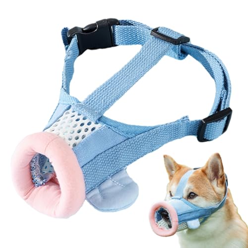 Maulkorb für Hunde, Maulkorb für Hunde, Maulkorb für kleine Hunde, zum Beißen – Maulkorb gegen Bellen in Form eines Clownfischs, für kleine Hunde, Innenhund, mittelgroße Hunde Maulkorb für Hunde, Maulkorb für Hunde, Maulkorb für kleine Hunde, zum Beißen – Maulkorb gegen Bellen in Form eines Clownfischs, für kleine Hunde, Innenhund, mittelgroße Hunde von Fulenyi