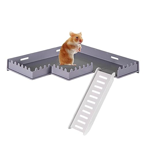 Plattform für Hamster, Spielplatz mit Kletterleiter für Hamster | Pet Supplies Wohndekoration für Kleintiere für Hamster, Igel, Eichhörnchen, Plattform für Hamster, Spielplatz mit Kletterleiter für Hamster | Pet Supplies Wohndekoration für Kleintiere für Hamster, Igel, Eichhörnchen, von Fulenyi