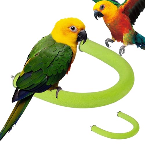 U-förmiger Vogelsitzstangenhalter | Sitzstange für Vogelkäfig – Wiederverwendbares Haustierspielzeug, Plattform für Vögel, Sandpfoten schleifen, Stock U-förmiger Vogelsitzstangenhalter | Sitzstange für Vogelkäfig – Wiederverwendbares Haustierspielzeug, Plattform für Vögel, Sandpfoten schleifen, Stock von Fulenyi