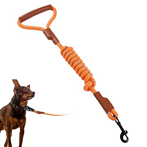 Wanderleine für Hunde – robustes reflektierendes Zugseil | Wanderleine aus Leder mit Komfortgriff, Schutzleine für Hunde zum Wandern, Camping, Fulenyi von Fulenyi