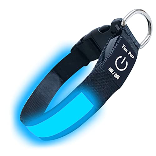 Fun Pets LED-Hundehalsband in Blau – USB-aufladbares Haustier-Sicherheitshalsband – hervorragende Sichtbarkeit & Sicherheit – Klein (30cm - 40cm / 11,8" - 15,7") von Fun Pets