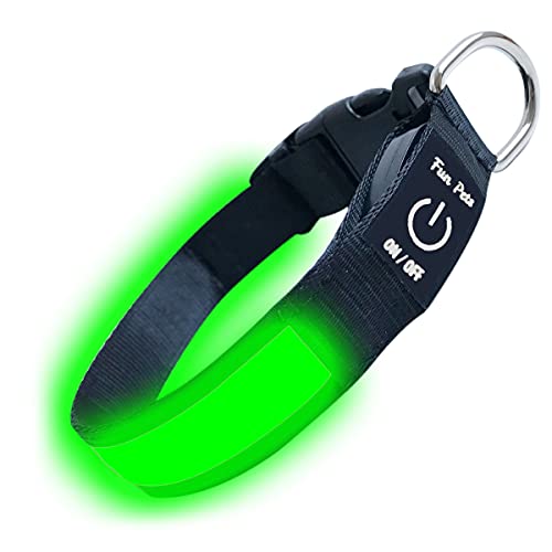 Fun Pets LED-Hundehalsband in Grün – USB-aufladbares Haustier-Sicherheitshalsband – hervorragende Sichtbarkeit & Sicherheit – Klein (30cm - 40cm / 11,8" - 15,7") von Fun Pets