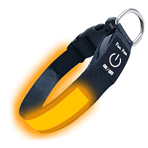 Fun Pets LED-Hundehalsband in Orange – USB-aufladbares Haustier-Sicherheitshalsband – hervorragende Sichtbarkeit & Sicherheit – Klein (30cm - 40cm / 11,8" - 15,7") von Fun Pets