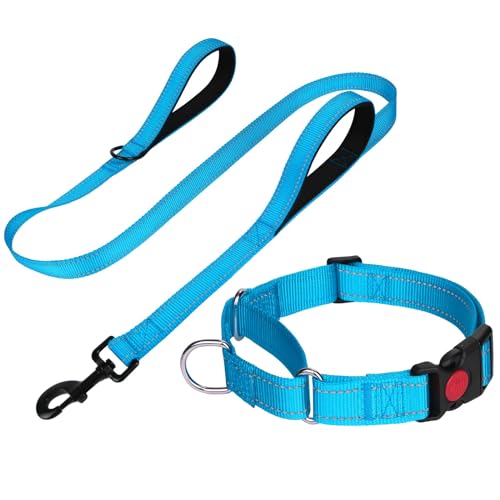 FunTags Martingale-Hundehalsband und Leine, Set, 1,5 m Doppelgriff, gepolstert, Martingale-Hundehalsband mit verschließbarer Schnellverschluss-Schnalle, verstellbar für große Hunde (Himmelblau, Größe von FunTags