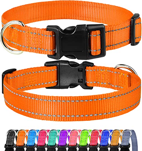 FunTags Reflektierendes Hundehalsband, robustes Nylon-Halsband für Welpen und extra kleine Mädchen- und Jungenhunde, verstellbares Hundehalsband mit Schnellverschluss-Schnalle, Orange, 1,9 cm breit FunTags Reflektierendes Hundehalsband, robustes Nylon-Halsband für Welpen und extra kleine Mädchen- und Jungenhunde, verstellbares Hundehalsband mit Schnellverschluss-Schnalle, Orange, 1,9 cm breit von FunTags