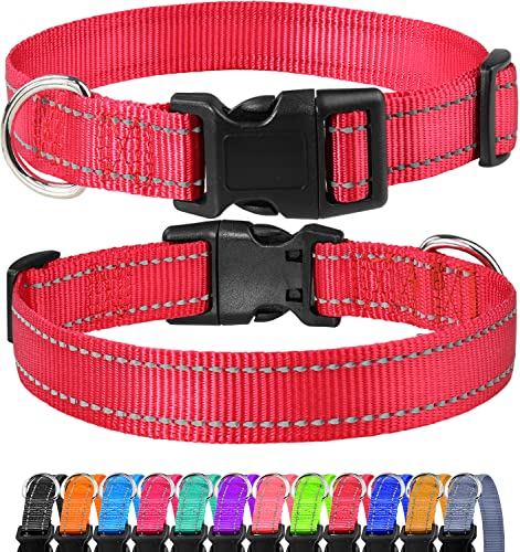 FunTags Reflektierendes Hundehalsband, robustes Nylon-Halsband für Welpen und extra kleine Mädchen- und Jungenhunde, verstellbares Hundehalsband mit Schnellverschluss-Schnalle, Rot, 1,9 cm breit FunTags Reflektierendes Hundehalsband, robustes Nylon-Halsband für Welpen und extra kleine Mädchen- und Jungenhunde, verstellbares Hundehalsband mit Schnellverschluss-Schnalle, Rot, 1,9 cm breit von FunTags