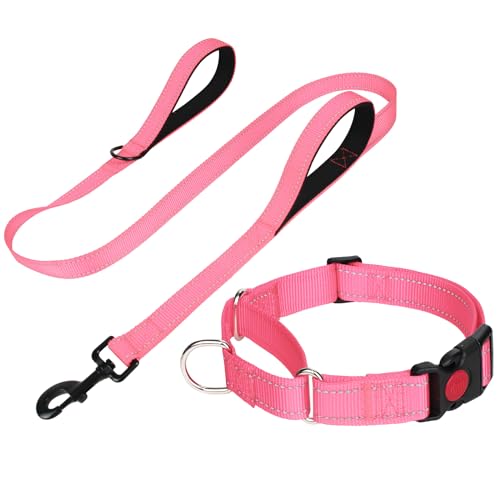 FunTags Reflektierendes Martingale-Halsband für Hunde, Schnellverschluss-Schnalle, 1,5 m Doppelgriff, gepolstert, Hundehalsband und Leine, Set, verstellbar für Welpen, Babyrosa, XS FunTags Reflektierendes Martingale-Halsband für Hunde, Schnellverschluss-Schnalle, 1,5 m Doppelgriff, gepolstert, Hundehalsband und Leine, Set, verstellbar für Welpen, Babyrosa, XS von FunTags