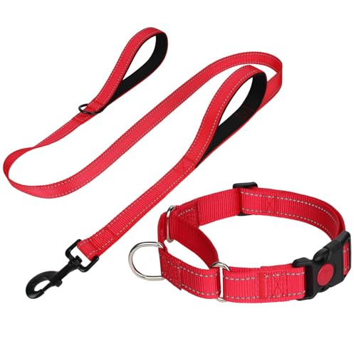 FunTags Reflektierendes Martingale-Halsband für Hunde, Schnellverschluss-Schnalle, 1,5 m Doppelgriff, gepolstert, Hundehalsband und Leine, Set, verstellbar für Welpen, Rot, XS FunTags Reflektierendes Martingale-Halsband für Hunde, Schnellverschluss-Schnalle, 1,5 m Doppelgriff, gepolstert, Hundehalsband und Leine, Set, verstellbar für Welpen, Rot, XS von FunTags