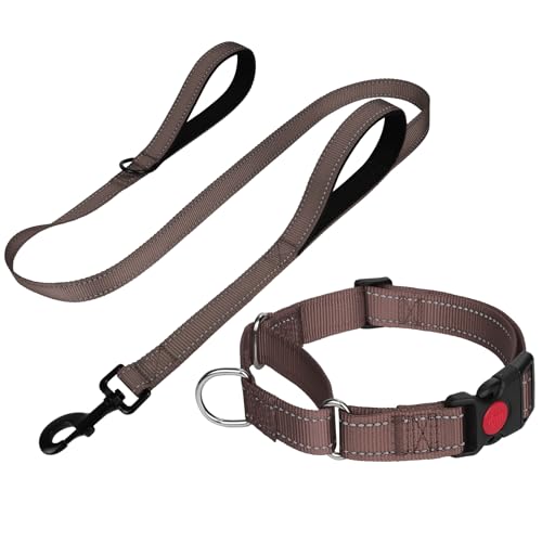 FunTags Reflektierendes Martingale-Halsband für Hunde, Schnellverschluss-Schnalle, 1,5 m Doppelgriff, gepolstert, Hundehalsband und Leine, Set, verstellbar für große Hunde (Braun, L) von FunTags