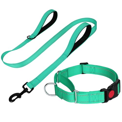 FunTags Reflektierendes Martingale-Halsband für Hunde, Schnellverschluss-Schnalle, 1,5 m Doppelgriff, gepolstert, Hundehalsband und Leine, Set, verstellbar für große Hunde (Türkis, L) von FunTags