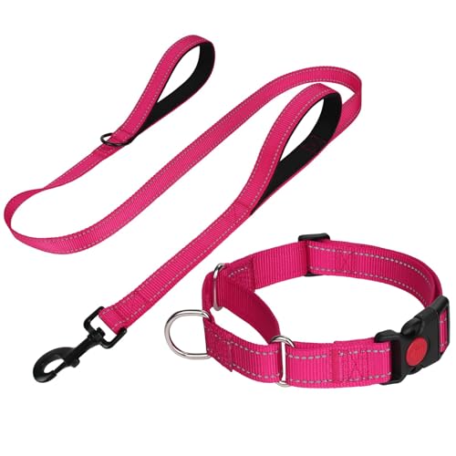 FunTags Reflektierendes Martingale-Halsband für Hunde, Schnellverschluss-Schnalle, 1,5 m Doppelgriff, gepolstert, Hundehalsband und Leine, Set, verstellbar für kleine Hunde (Hotpink, S) von FunTags