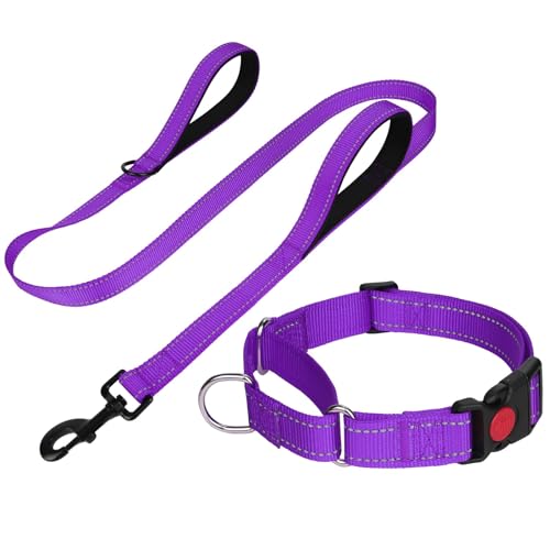 FunTags Reflektierendes Martingale-Halsband für Hunde, Schnellverschluss-Schnalle, 1,5 m Doppelgriff, gepolstert, Hundehalsband und Leine, Set, verstellbar für kleine Hunde (Lila, S) von FunTags