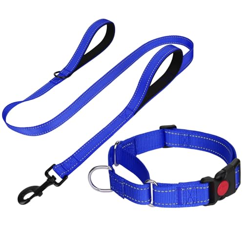FunTags Reflektierendes Martingale-Halsband für Hunde, Schnellverschluss-Schnalle, 1,5 m Doppelgriff, gepolstert, Hundehalsband und Leine, Set, verstellbar für mittelgroße Hunde (Marineblau, M) von FunTags