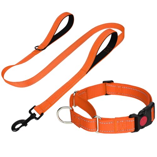 FunTags Reflektierendes Martingale-Halsband für Hunde, Schnellverschluss-Schnalle, 1,5 m Doppelgriff, gepolstert, Hundehalsband und Leine, verstellbar, für Welpen, kleine, mittelgroße und große Hunde FunTags Reflektierendes Martingale-Halsband für Hunde, Schnellverschluss-Schnalle, 1,5 m Doppelgriff, gepolstert, Hundehalsband und Leine, verstellbar, für Welpen, kleine, mittelgroße und große Hunde von FunTags
