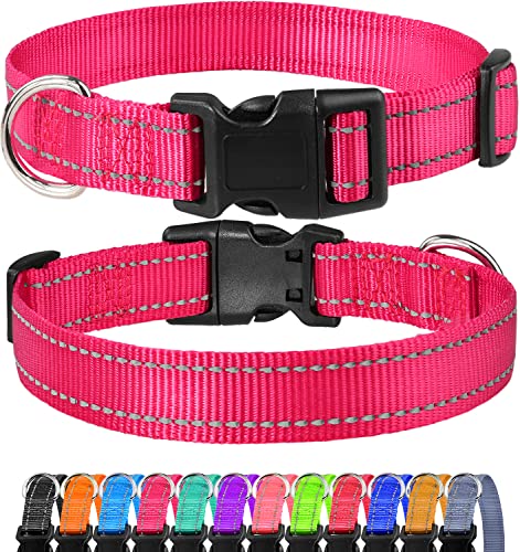 FunTags Reflektierendes Nylon-Hundehalsband, verstellbare Haustier-Halsbänder mit Schnellverschluss-Schnalle, 12 klassische einfarbige Farben, 4 Größen, Hot Pink, Größe L von FunTags