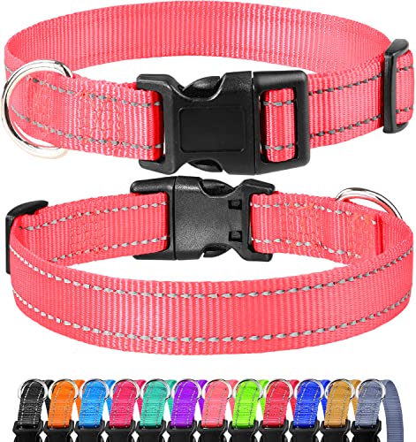 FunTags Reflektierendes Nylon-Hundehalsband, verstellbare Haustier-Halsbänder mit Schnellverschluss-Schnalle, 12 klassische einfarbige Farben, 4 Größen, Neon-Pink, kleine Größe von FunTags