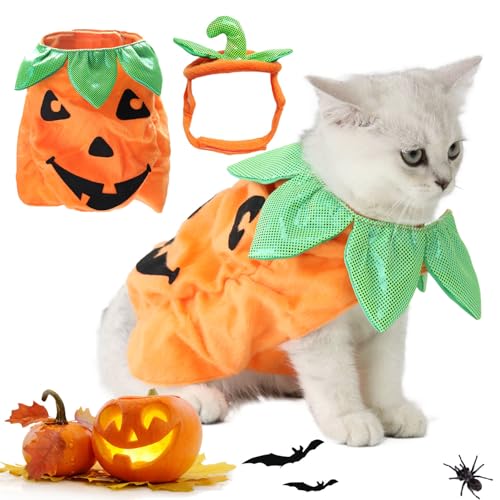 Funabridge Halloween-Kürbis-Katzenkostüm, Kopfbedeckung und Outfit für Katzen Funabridge Halloween-Kürbis-Katzenkostüm, Kopfbedeckung und Outfit für Katzen von Funabridge