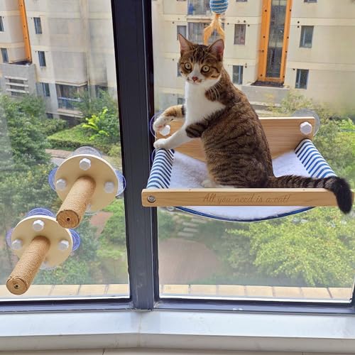 FuneeTop Naturholzrahmen Katzenfenster Sitzstange / Hängematte mit Kletterstufen Fenster montiert, Katzenhängematten für Fenster mit 2 Hängematten, Katzenkratzbaum für Fenster (Sitzstange und Stufen) FuneeTop Naturholzrahmen Katzenfenster Sitzstange / Hängematte mit Kletterstufen Fenster montiert, Katzenhängematten für Fenster mit 2 Hängematten, Katzenkratzbaum für Fenster (Sitzstange und Stufen) von FuneeTop