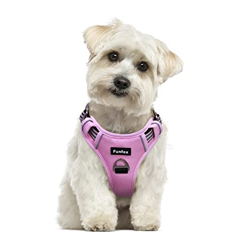 Funfox Hundegeschirr Kleine Hunde [S] - Anti Zug Welpengeschirr mit Griff & Ringreflektoren, Atmungsaktives Verstellbares No Pull Brustgeschirr für Kleine/Mittelgroße Hunde Outdoor Rosa von Funfox