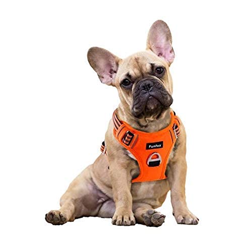 Funfox Hundegeschirr Kleine Hunde No Pull Welpengeschirr Einstellbar Hundegeschirr Anti Zug Sicherheitsgeschirr Kleine Mittlere Hunde Brustgeschirr Hund Atmungsaktiv Dog Harness Orange S Funfox Hundegeschirr Kleine Hunde No Pull Welpengeschirr Einstellbar Hundegeschirr Anti Zug Sicherheitsgeschirr Kleine Mittlere Hunde Brustgeschirr Hund Atmungsaktiv Dog Harness Orange S von Funfox