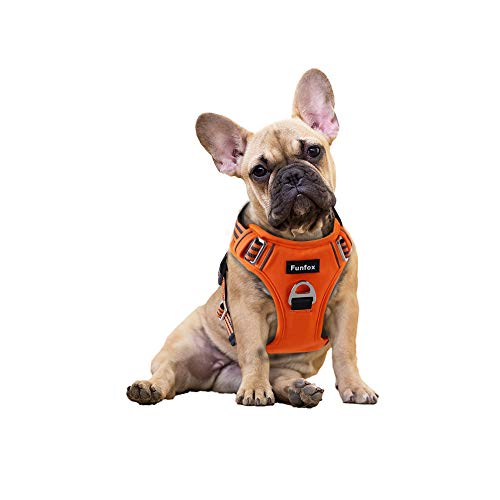 Funfox Hundegeschirr Kleine Hunde [S] - Anti Zug Welpengeschirr mit Griff & Ringreflektoren, Atmungsaktives Verstellbares No Pull Brustgeschirr für Kleine/Mittelgroße Hunde Outdoor Orange von Funfox