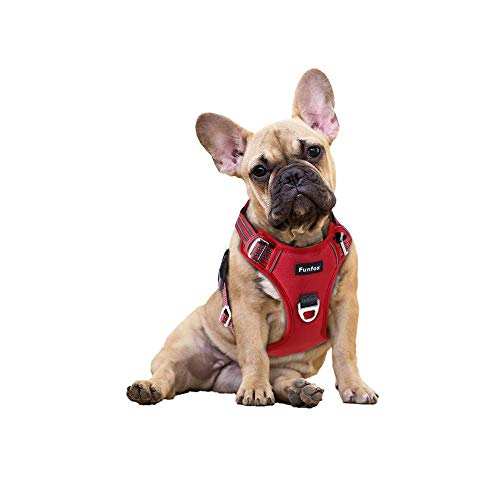 Funfox Hundegeschirr Kleine Hunde [S] - Anti Zug Welpengeschirr mit Griff & Ringreflektoren, Atmungsaktives Verstellbares No Pull Brustgeschirr für Kleine/Mittelgroße Hunde Outdoor Rot von Funfox