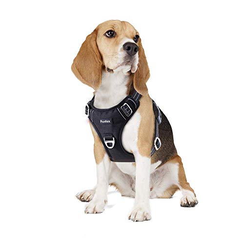 Funfox Hundegeschirr für Mittelgroße Hunde No Pull Geschirr Einstellbar Geschirrset Mittlere Hunde Anti Zug Brustgeschirr Hund Mittel Hunde Sicherheitsgeschirr Atmungsaktiv Dog Harness von Funfox