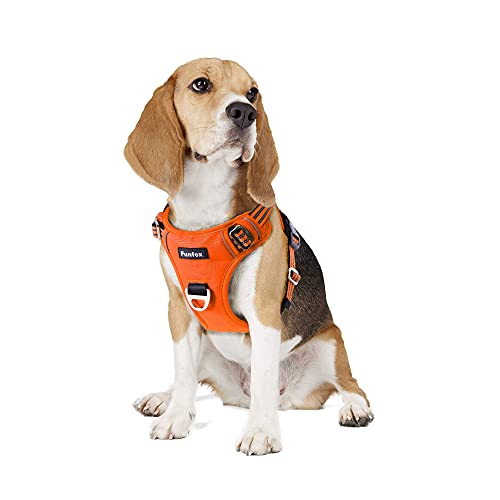 Funfox Hundegeschirr Mittelgroße Hunde [M] - Verstellbares Anti-Zug Brustgeschirr mit Griff & Reflektorstreifen, Atmungsaktives No Pull Hundegeschirr für Grosse/Kleine Hunde Outdoor Orange von Funfox