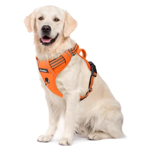 Funfox Hundegeschirr Grosse Hunde [XL] - Verstellbares Anti-Zug Brustgeschirr mit Griff & Reflektorstreifen, Atmungsaktives No Pull Hundegeschirr für Grosse/Mittelgroße Hunde Outdoor Orange von Funfox