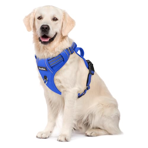 Funfox Hundegeschirr für Große Hunde No Pull Geschirr Einstellbar Anti Zug Sicherheitsgeschirr Hunde Geschirrset Mittlere Hunde Brustgeschirr Hund Groß Atmungsaktiv Dog Harness Blau L von Funfox