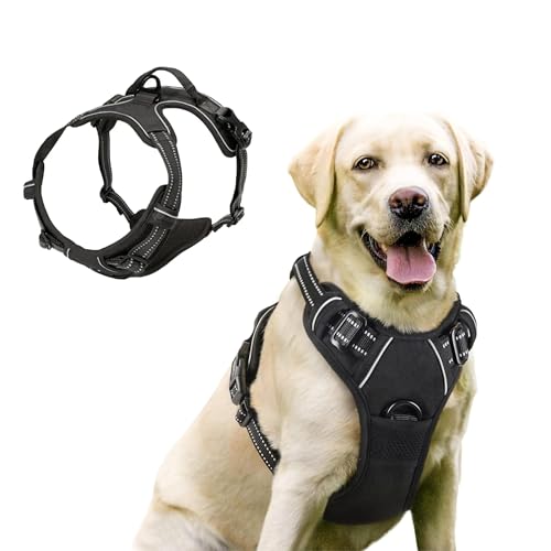 Funkeen Hundegeschirr für Kleine, mittelgroße und große Hunde Anti Zug Geschirr No Pull Sicherheitsgeschirr Brustgeschirr Dog Harness Weich Gepolstert verstellbar Atmungsaktiv Schwarz (Schwarz, M) von Funkeen