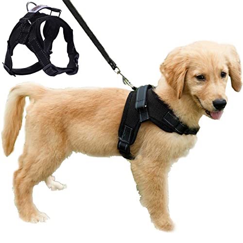 Funkeen, Hundegeschirr, Jäckchen, Maschengewebe, verstellbare Gurte, weich gepolstert, atmungsaktiv, kein Handgriff Funkeen, Hundegeschirr, Jäckchen, Maschengewebe, verstellbare Gurte, weich gepolstert, atmungsaktiv, kein Handgriff von FUNKEEN PET HOUSE