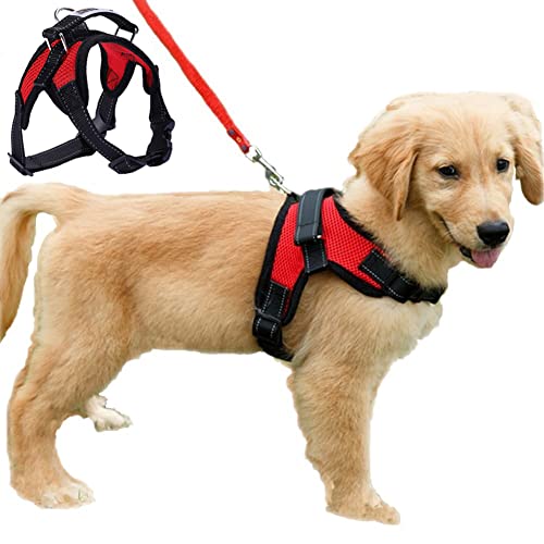 Funkeen, Hundegeschirr, Jäckchen, Maschengewebe, verstellbare Gurte, weich gepolstert, atmungsaktiv, kein Handgriff von FUNKEEN PET HOUSE
