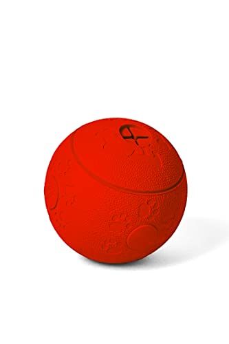 Funky Planet EIN Großes Set Von Haltbaren Spielzeug Für Hunde - Frisbee Hund Schwimmspielzeug Hund - Treibball Für Hunde Bissfest Gross Target Hundetraining Zerrspielzeug Hund Hundespielzeug Set Funky Planet EIN Großes Set Von Haltbaren Spielzeug Für Hunde - Frisbee Hund Schwimmspielzeug Hund - Treibball Für Hunde Bissfest Gross Target Hundetraining Zerrspielzeug Hund Hundespielzeug Set von Funky Planet