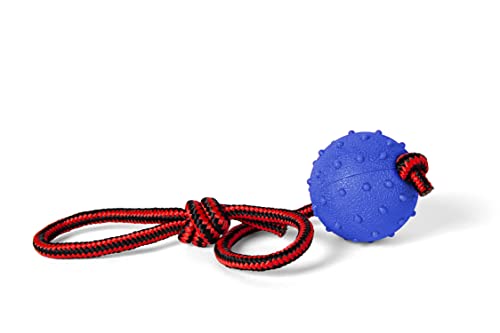 Hunde Ball Hundespielzeug Ball Am Seil - Gummiball Hundebälle Unkaputtbar Mit Schnur - Wurfball Für Hunde Mit Seil Es Entlädt Die Energie Und Den Stress des Hundes (Ball an Einer Schnur Blau) von Funky Planet