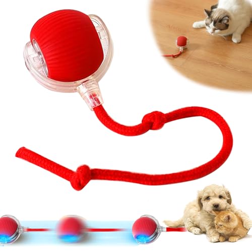 Interaktives Katzenballspielzeug, Katzenspielzeug Elektrisch mit USB Aufladbar, DREI Arbeitsmodi, 360° Automatisch Power Spielball für Katzen Hunde (Rot) von Funmo